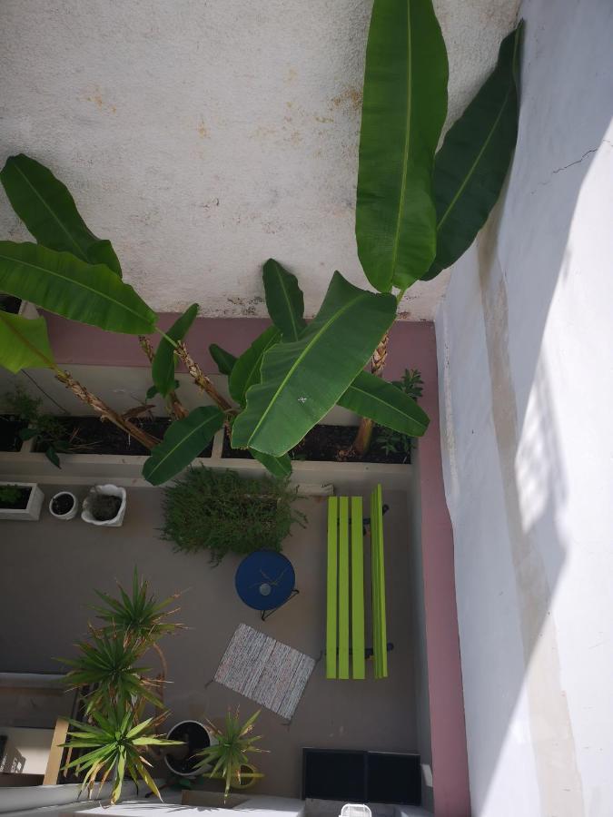 Androniki Suite أثينا المظهر الخارجي الصورة